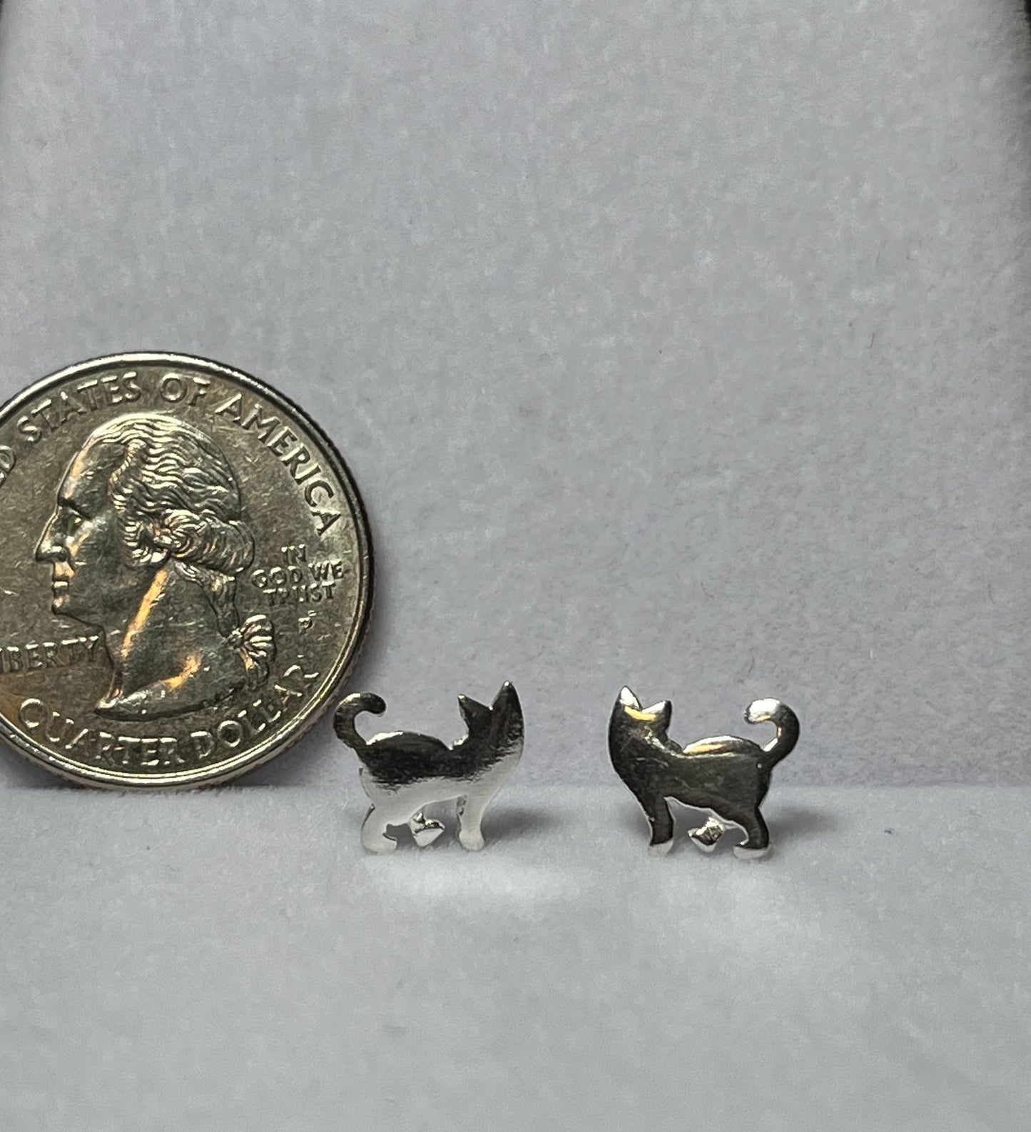 Curious Cat Stud Earrings